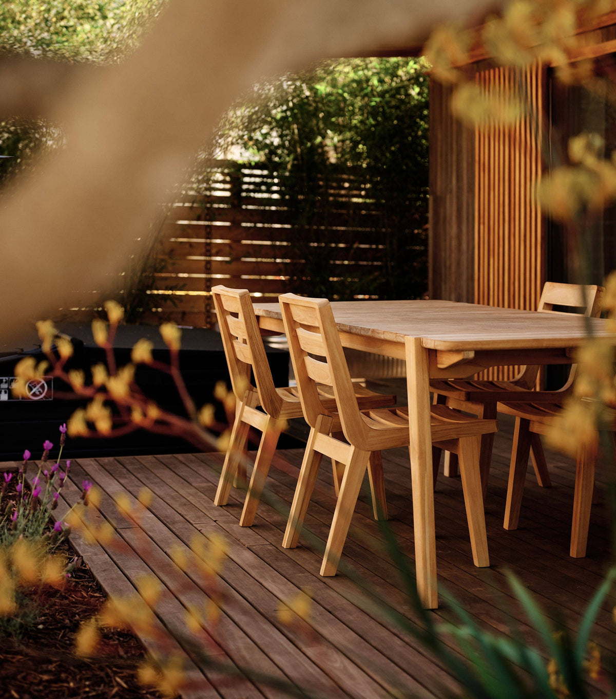 Sealed Teak