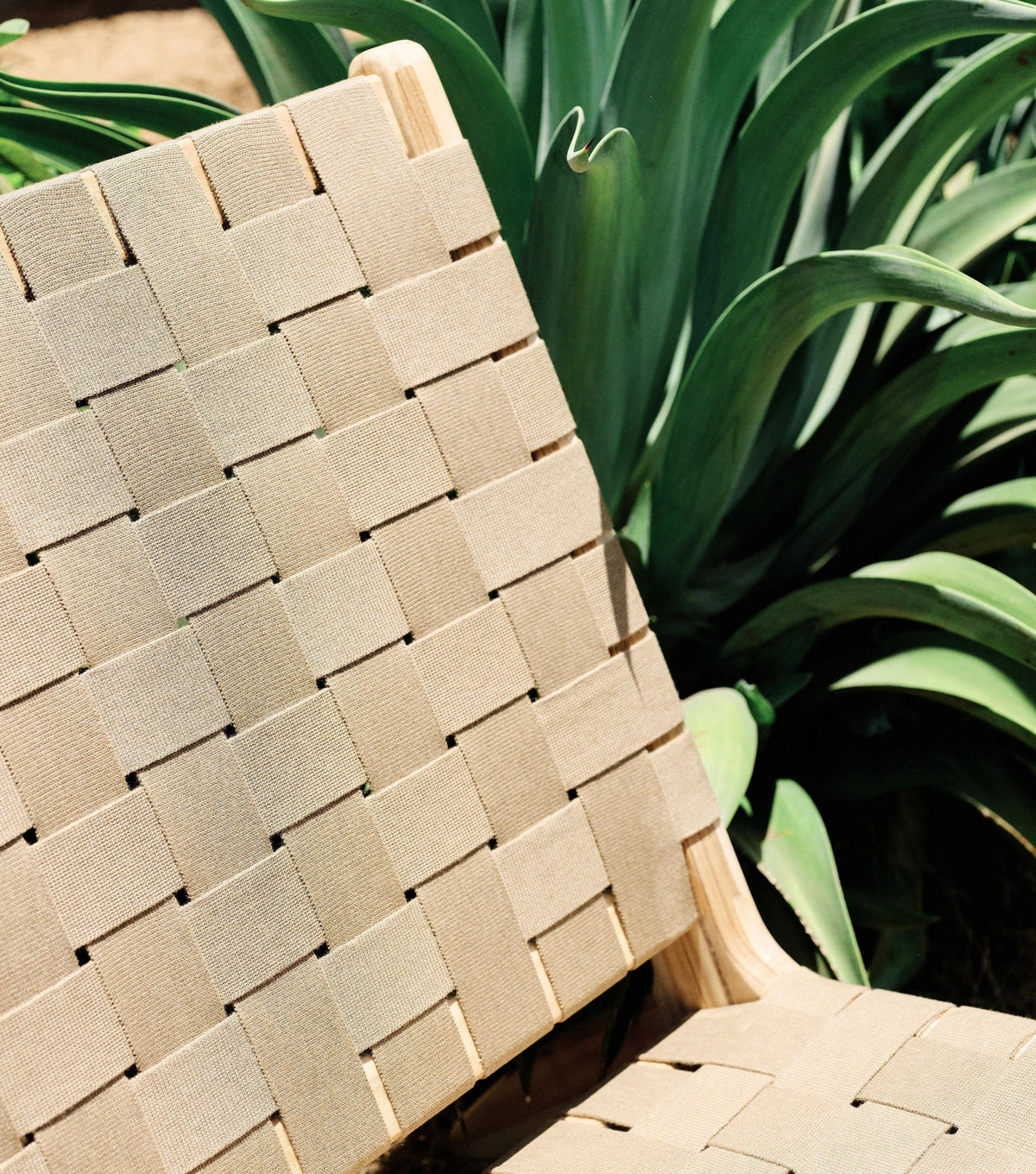 Sealed Teak / 2" Beige Straps