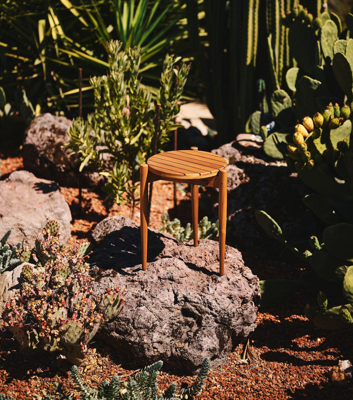 Sealed Teak