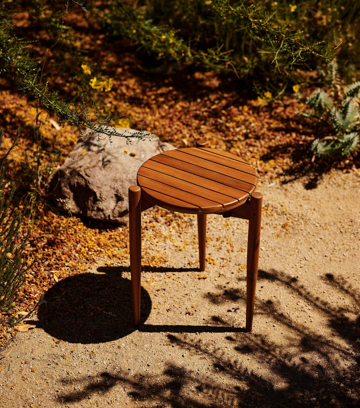 Sealed Teak