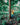 Before the Furniture, the Forest. A Conversation With Noel and Bryan Lopez.