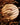 Outdoor Telica with slatted teak top in afternoon sun field with decorative grass