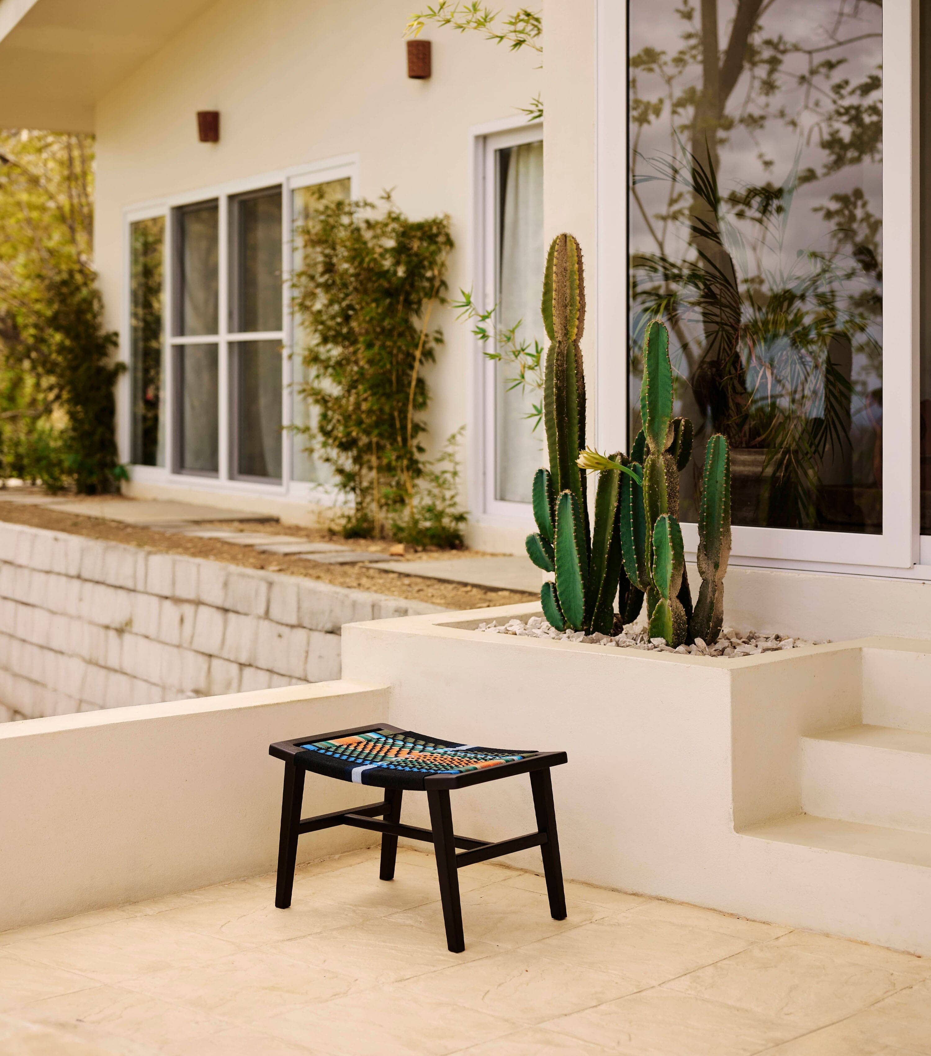 Charcoal / Mot Mot Pattern