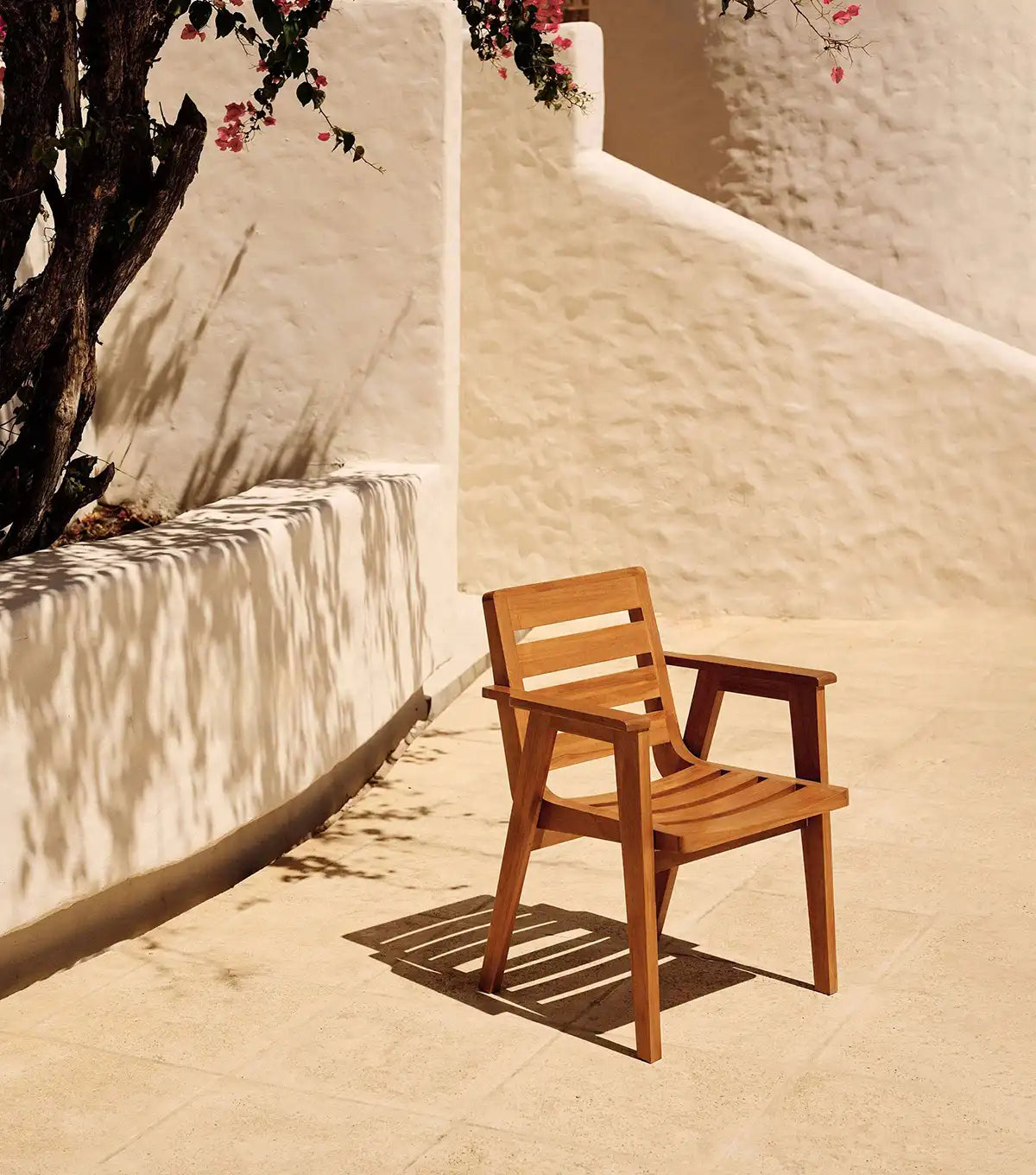 Wooden chair on a sunlit patio with white walls and a tree in the background