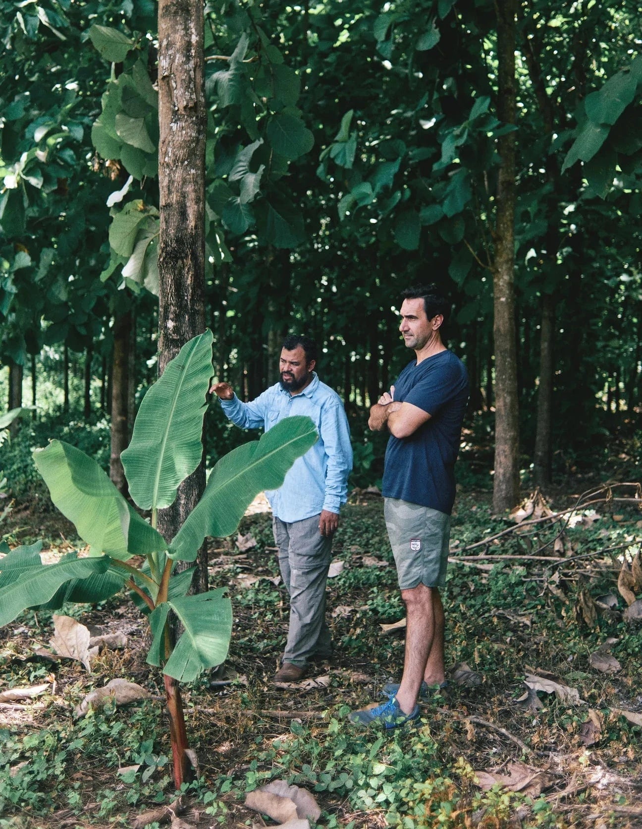 Deforested land in Nicaragua