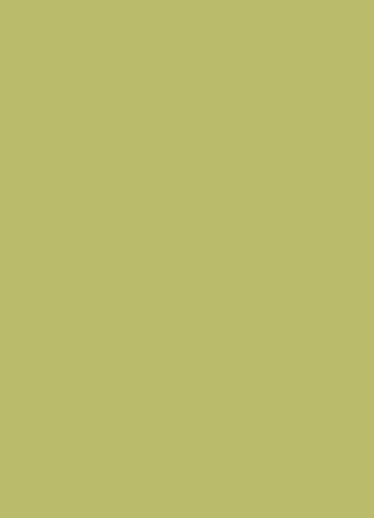 Solid green color swatch